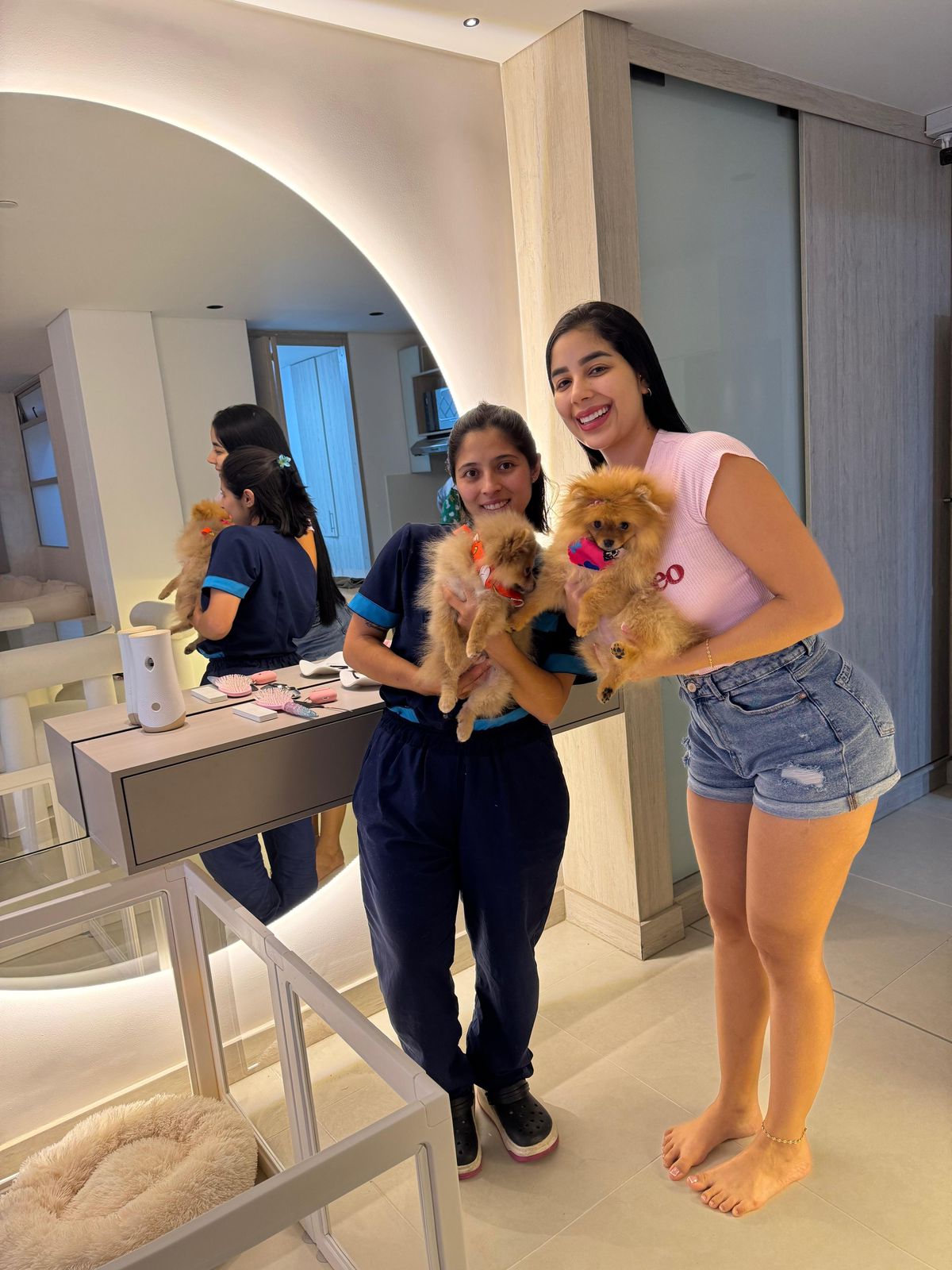 carrusel-showerpet-3